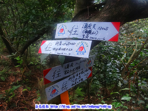 美灩山、火炎山古道 (51).jpg