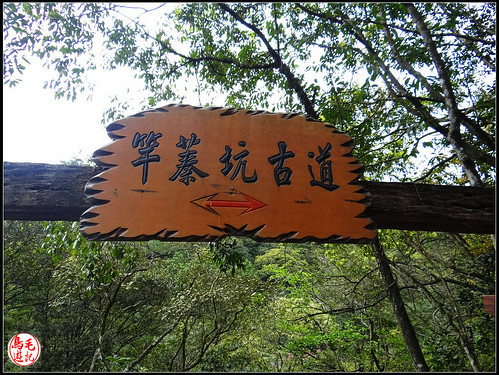 竿蓁坑古道 (3).jpg