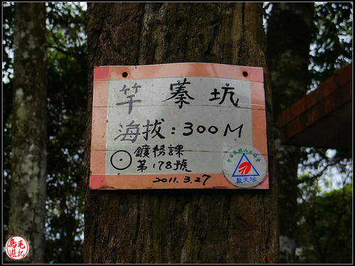 竿蓁坑古道 (5).jpg