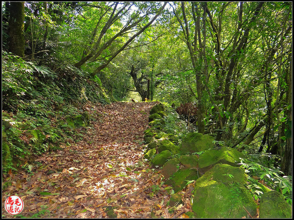 竿蓁坑古道 (19).jpg