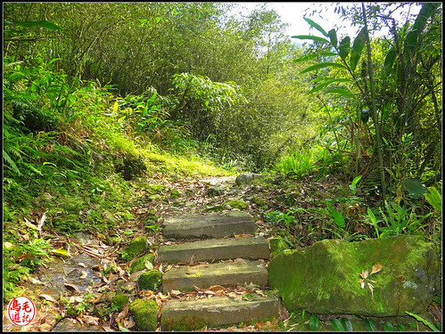 竿蓁坑古道 (30).jpg