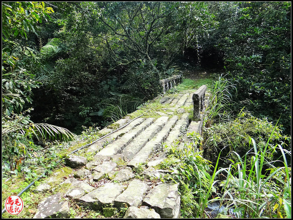 竿蓁坑古道 (34).jpg