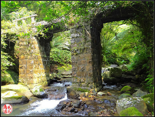 竿蓁坑古道 (39).jpg