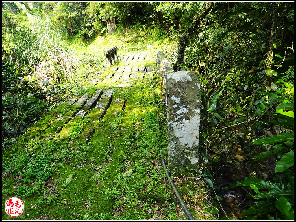 竿蓁坑古道 (43).jpg