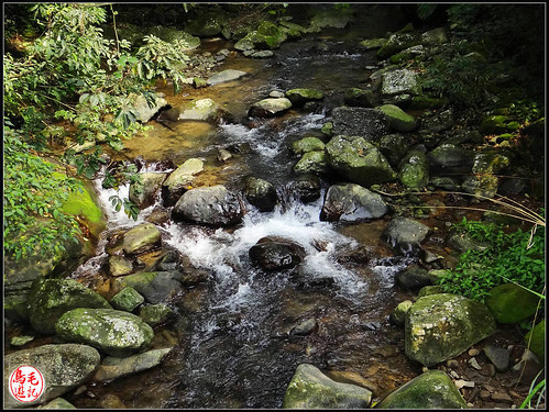 竿蓁坑古道 (44).jpg