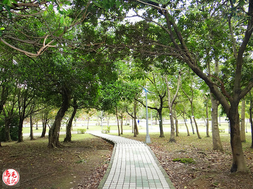 大安森林公園 (54).jpg