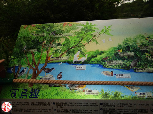 大安森林公園 (59).jpg