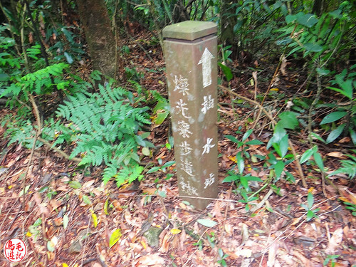 燦光寮古道 (91).jpg