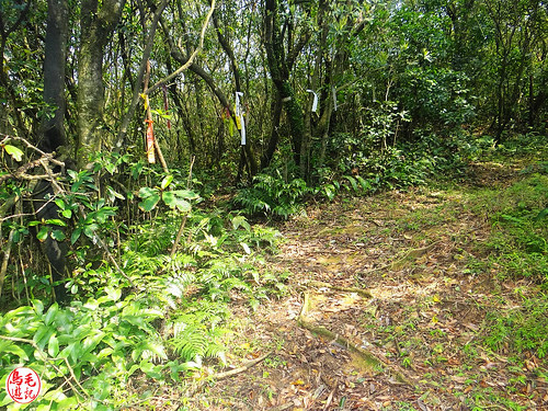 燦光寮古道 (109).jpg