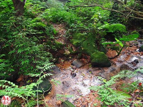 燦光寮古道 (119).jpg