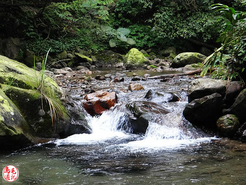 燦光寮古道 (132).jpg