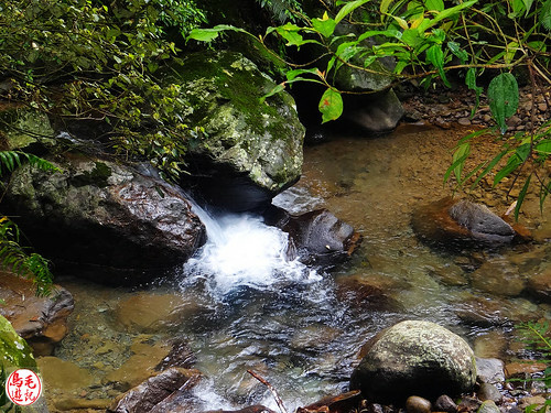 燦光寮古道 (12).jpg