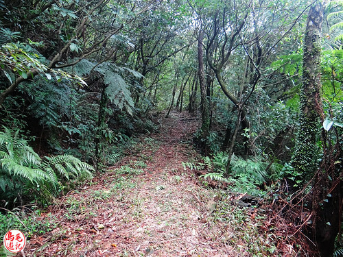 燦光寮古道 (43).jpg