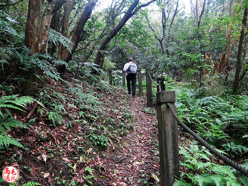 燦光寮古道 (48).jpg