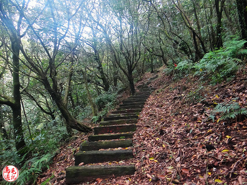 燦光寮古道 (68).jpg