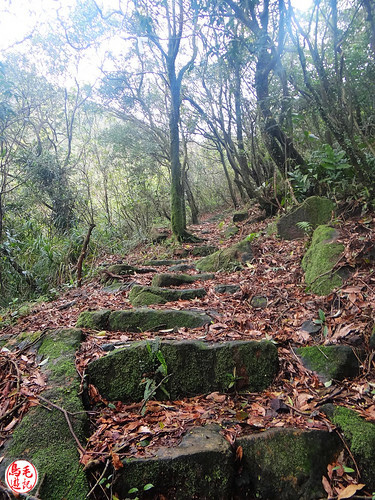 燦光寮古道 (71).jpg