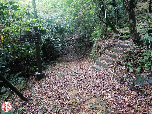 燦光寮古道 (74).jpg