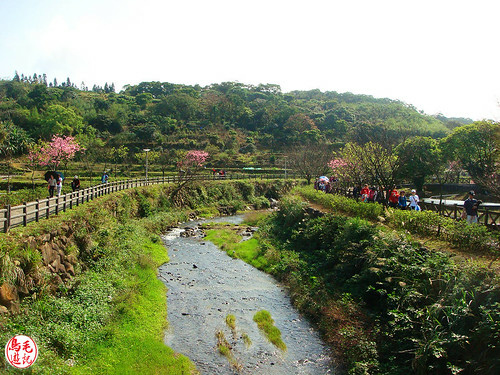 三生步道櫻芝戀 (13).jpg