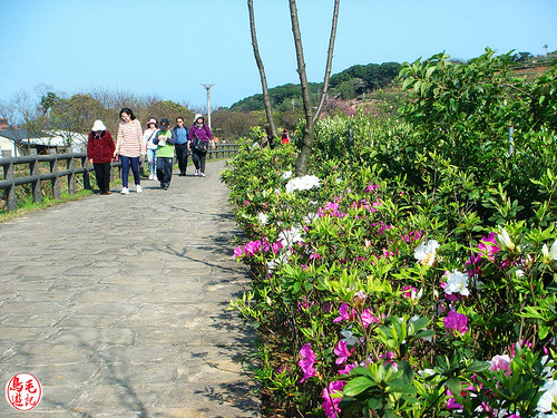 三生步道櫻芝戀 (21).jpg