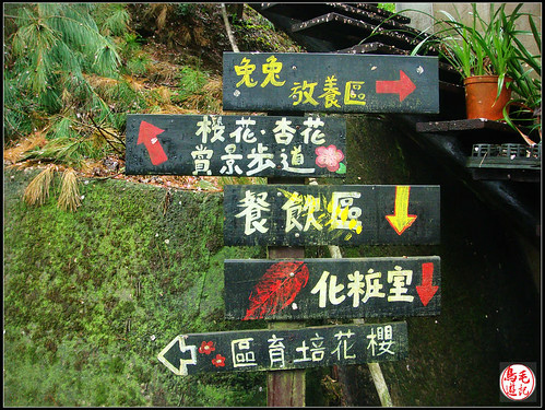 碧絡角環山櫻花步道 (3).jpg