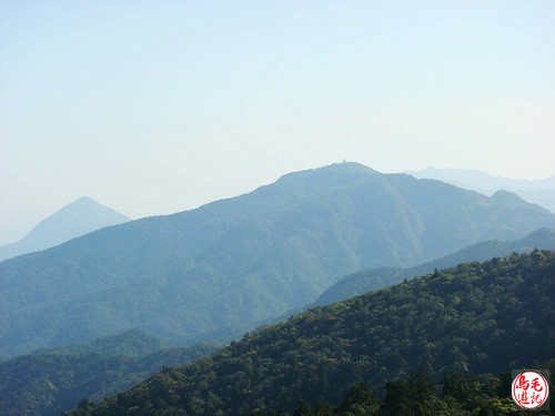 姜子寮山 (35).jpg