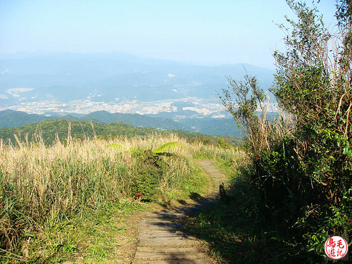 姜子寮山 (37).jpg