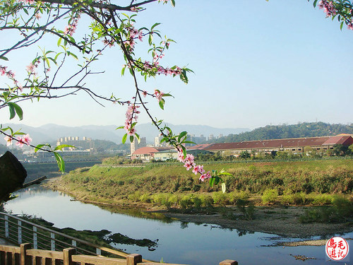 七堵永安驛站、俊德吊橋 (22).jpg