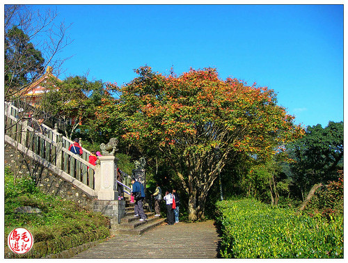 拱北殿丹楓初紅 (13).jpg