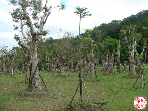 山水綠生態公園 (14).jpg