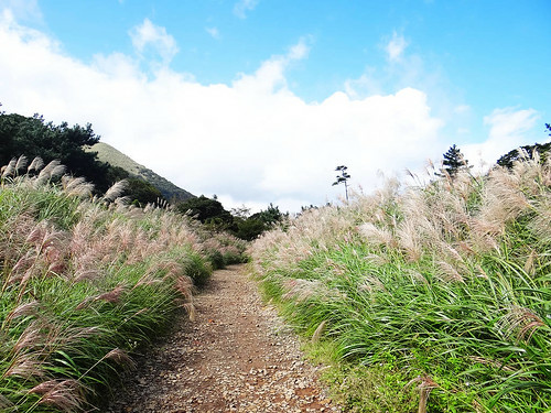 二子坪面天山 (41).jpg