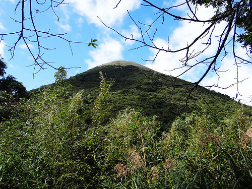 二子坪面天山 (44).jpg