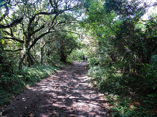 二子坪面天山 (46).jpg