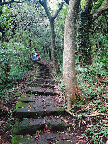 二子坪面天山 (52).jpg