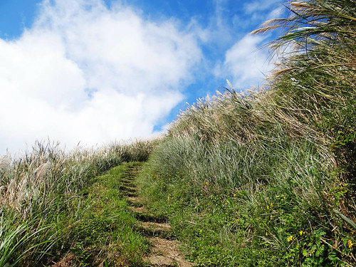 二子坪面天山 (60).jpg