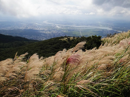 二子坪面天山 (65).jpg