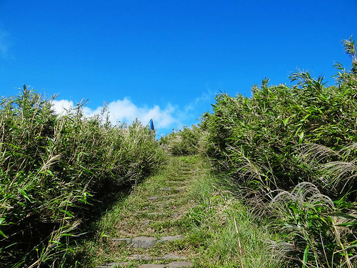 二子坪面天山 (67).jpg