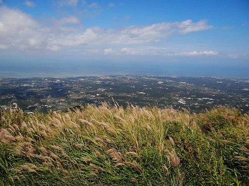 二子坪面天山 (81).jpg