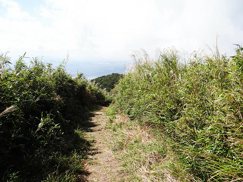 二子坪面天山 (85).jpg