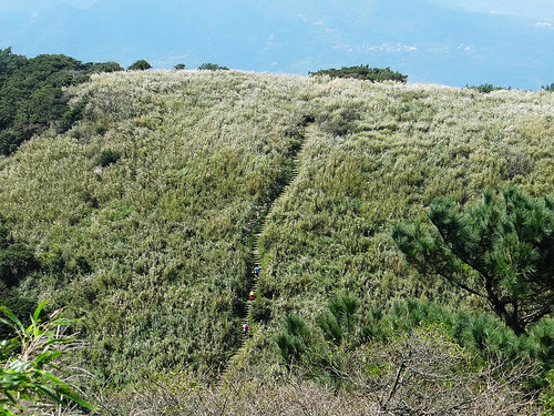 二子坪面天山 (86).jpg