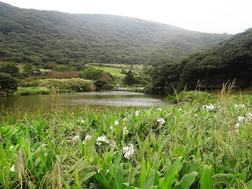 二子坪面天山 (8).jpg