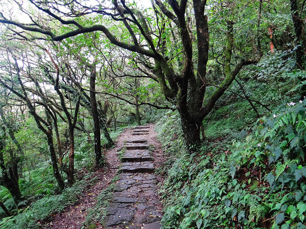 二子坪面天山 (18).jpg