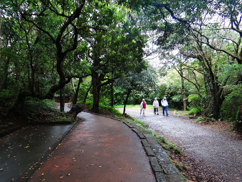 二子坪面天山 (22).jpg