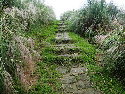 擎天崗風櫃嘴‧秋漾芒花 (14).jpg