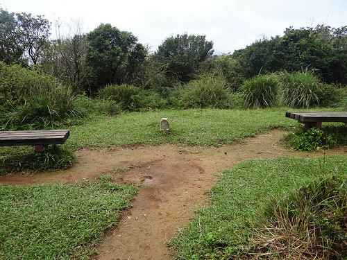 擎天崗風櫃嘴‧秋漾芒花 (58).jpg