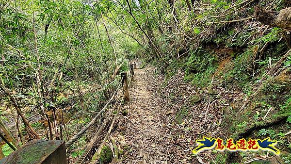 三貂嶺三層瀑布、中坑、柴寮古道連走至猴硐 (27).jpg