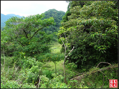 中央尖東勢格步道 (84).jpg