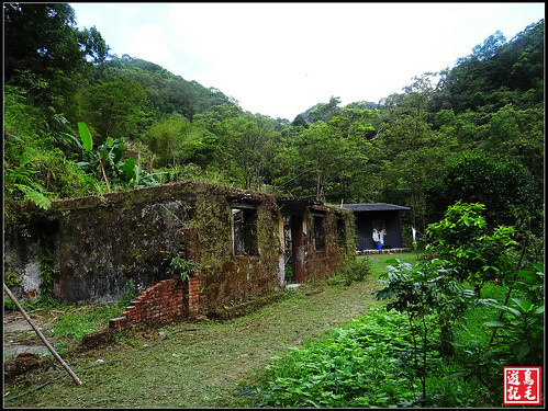 中央尖東勢格步道 (98).jpg