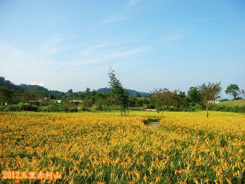 玉里赤柯山 (89).jpg