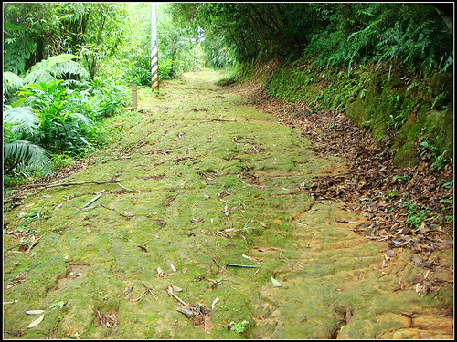 麗山橋口步道 (6).jpg