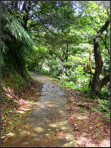 麗山橋口步道 (13).jpg